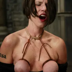 サバンナ に 'Kink' サバンナ (サムネイル 3)