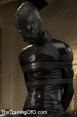 Kink '無邪気な淫女、3日目' 主演 Savannah Fox (写真 9)