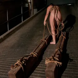 Savannah West に 'Kink' サバンナ西日本練習 (サムネイル 1)