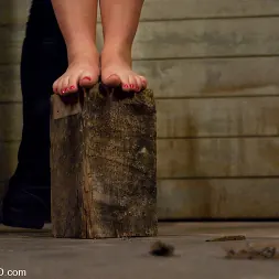 Savannah West に 'Kink' サバンナ西日本練習 (サムネイル 15)