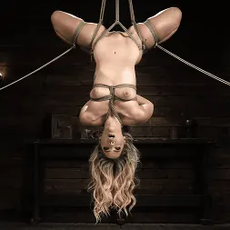 Savvy Suxx in 'Kink' All Natural Newbie Gets Dominated in Strict Rope Bondage (Thumbnail 17)