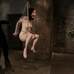 Scarlet Faux in 'Kink' Brutal Elbow and crotch rope suspension. Caned, severely flogged and made to cum, left to suffer. (Thumbnail 16)