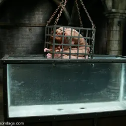 Scarlett Pain に 'Kink' is Introduced to Waterbondage! (サムネイル 6)