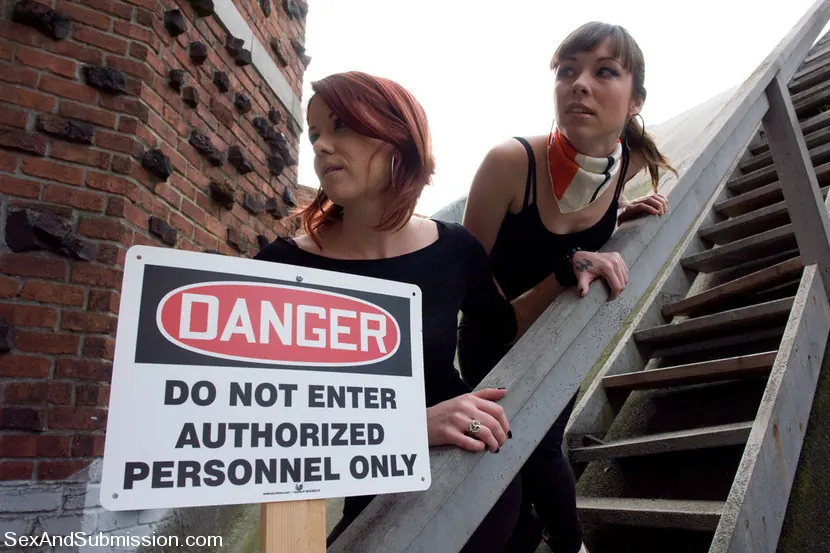 Kink '中断と進入' 主演 Seda (写真 1)