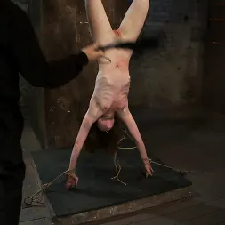Seda in 'Kink' Girl next door put upside down, severely flogged and made to cum On screen tying and real BDSM play (Thumbnail 11)