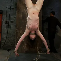 Seda in 'Kink' Girl next door put upside down, severely flogged and made to cum On screen tying and real BDSM play (Thumbnail 17)