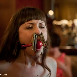 Seda en 'Kink' El entrenamiento de Seda, día cuatro (Miniatura 8)