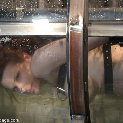 Shannon Kelly in 'Kink' Shannon Kelly (Thumbnail 5)