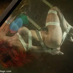 Shannon Kelly en 'Kink' Shannon Kelly (Miniatura 12)