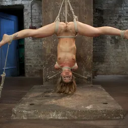 Sheena Shaw に 'Kink' Sheena Shawようこそ (サムネイル 1)