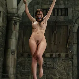 シャイな愛 に シャイな愛 (写真 5) シャイな愛 に 'Kink' シャイな愛 (サムネイル 5)