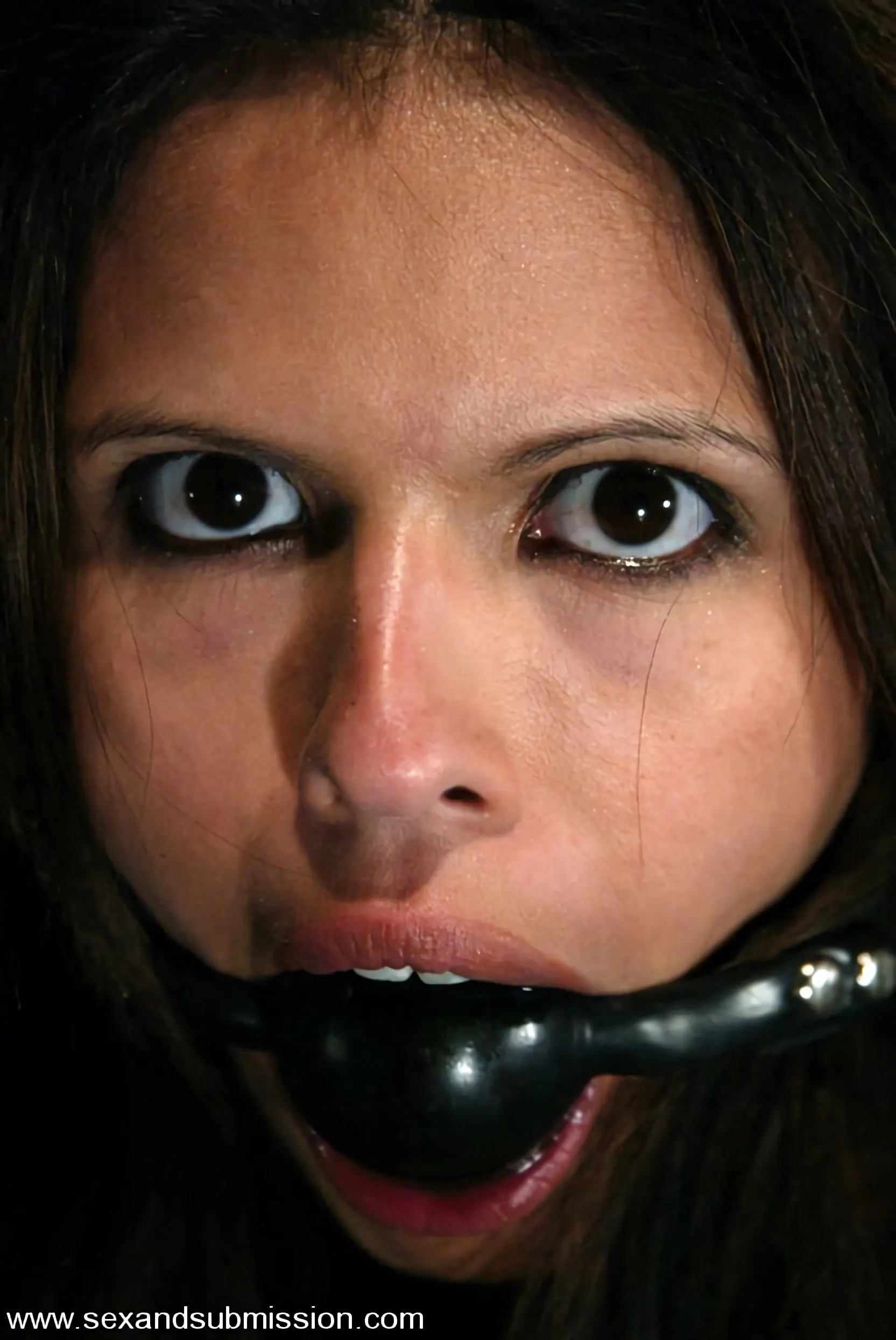 shy love に 'and Talon' from 'Kink' (写真 3) Kink 'and Talon' 主演 shy love (写真 3)