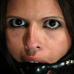 shy love en 'Kink' and Talon (Miniatura 3)