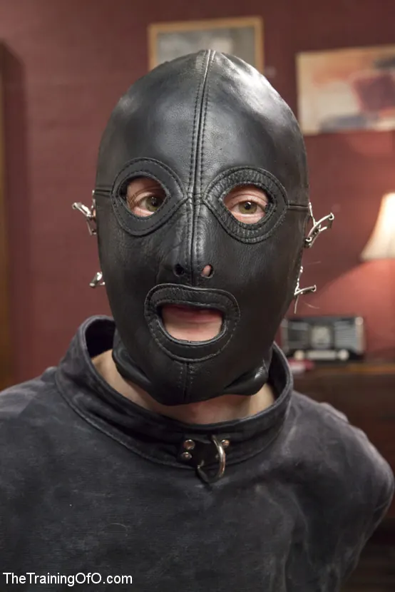 Kink 'Artículo especial: Recopilación de entrenamiento anal de MILF' protagonizando Simone Sonay (foto 14)