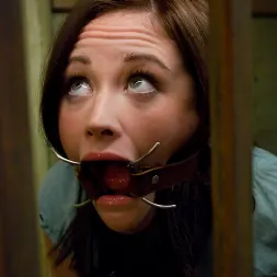 Sindee Jennings in Little Piece of Meat (Photo 12) Sindee Jennings in 'Kink' Little Piece of Meat (Thumbnail 12)