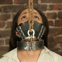 Sinnamon Love in and Harry the Goblin (Photo 2) Sinnamon Love in 'Kink' and Harry the Goblin (Thumbnail 2)