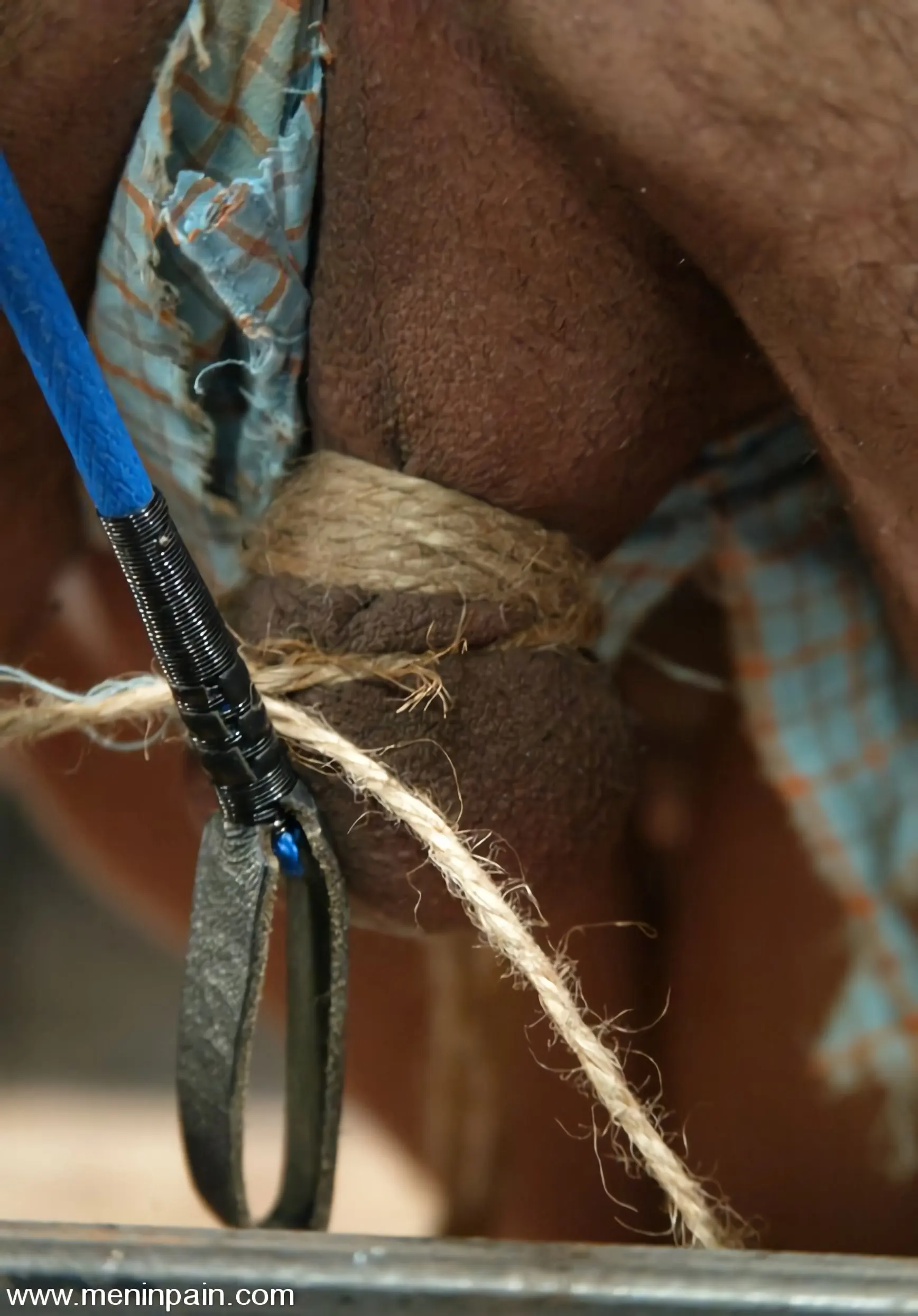 Kink 'Annie Cruz, Sil and Sir C' starring Sir C (Photo 4)