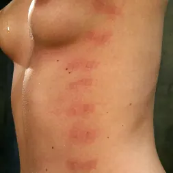 Sir C en 'Kink' Hollie Stevens y Sir C (Miniatura 4)