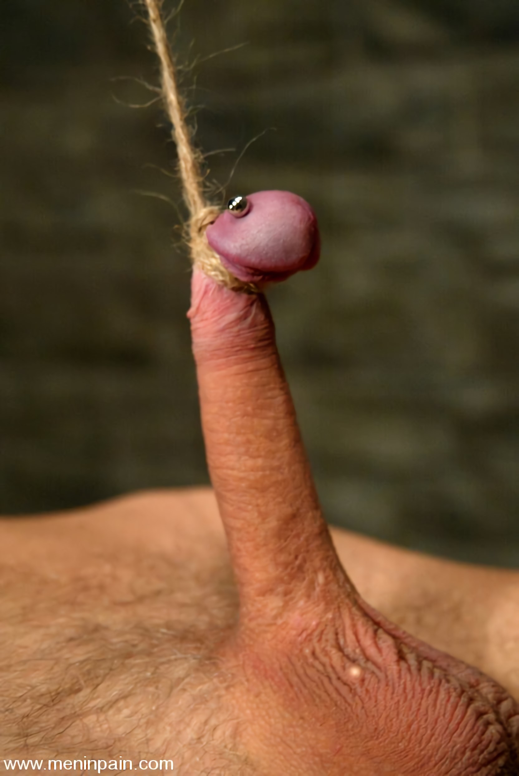 Kink 'Penny Flame, Sir C y Danny Wylde' protagonizando Sir C (foto 6)