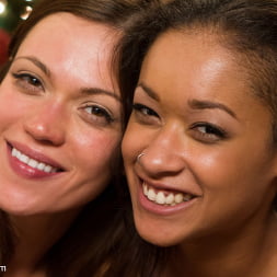 Skin Diamond に 'Kink' 非常にセクシーなエレクトロクリスマス (サムネイル 9)