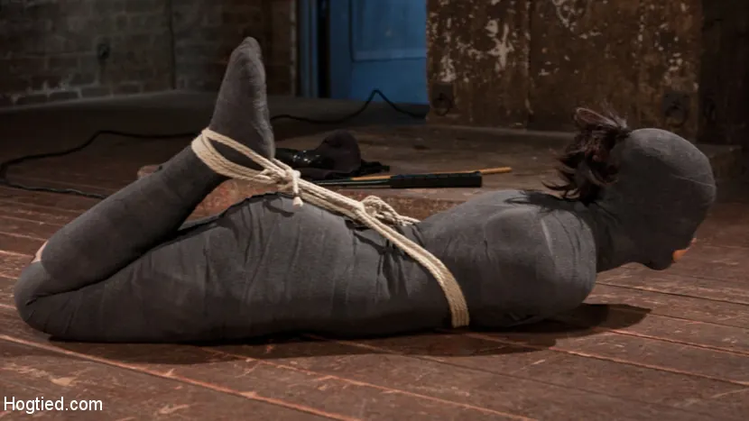 Kink 'ペントハウスペット、スキンダイヤモンド、激しいボンデージで' 主演 Skin Diamond (写真 18)