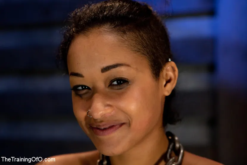 Skin Diamond に 'スキンダイヤモンド - 4日目の激しいプレディクトボンデージとノンストップオルガズムが灰の上に灰を押し出す' from 'Kink' (写真 9) Kink 'スキンダイヤモンド - 4日目の激しいプレディクトボンデージとノンストップオルガズムが灰の上に灰を押し出す' 主演 Skin Diamond (写真 9)