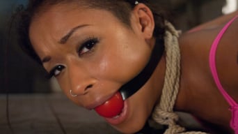 Skin Diamond in 'The Specialist: Cheating Wife Remedy'