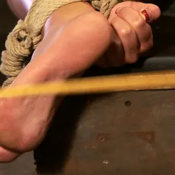 Skylar Price en 'Kink' Skylar Price: bomba rubia atada con bambú (Miniatura 6)