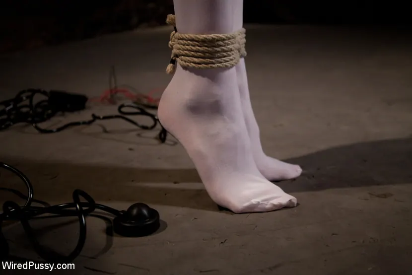 Sloane Soleil in 'Cute Local Model Cums Hard from Electricity Pulsing Through her Clit' from 'Kink' (Photo 13) Kink 'Cute Local Model Cums Hard from Electricity Pulsing Through her Clit' starring Sloane Soleil (Photo 13)