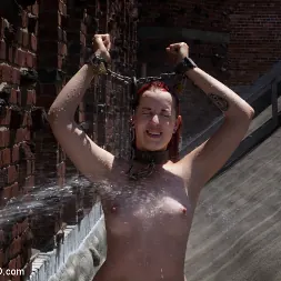 Sloane Soleil in 'Kink' Day 5 Full Sexual Training (Thumbnail 1)