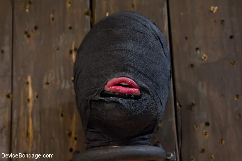 Sloane Soleil in 'Today she is a toy, a mere item to exploit and indulge with dark intentions.' from 'Kink' (Photo 14) Kink 'Today she is a toy, a mere item to exploit and indulge with dark intentions.' starring Sloane Soleil (Photo 14)