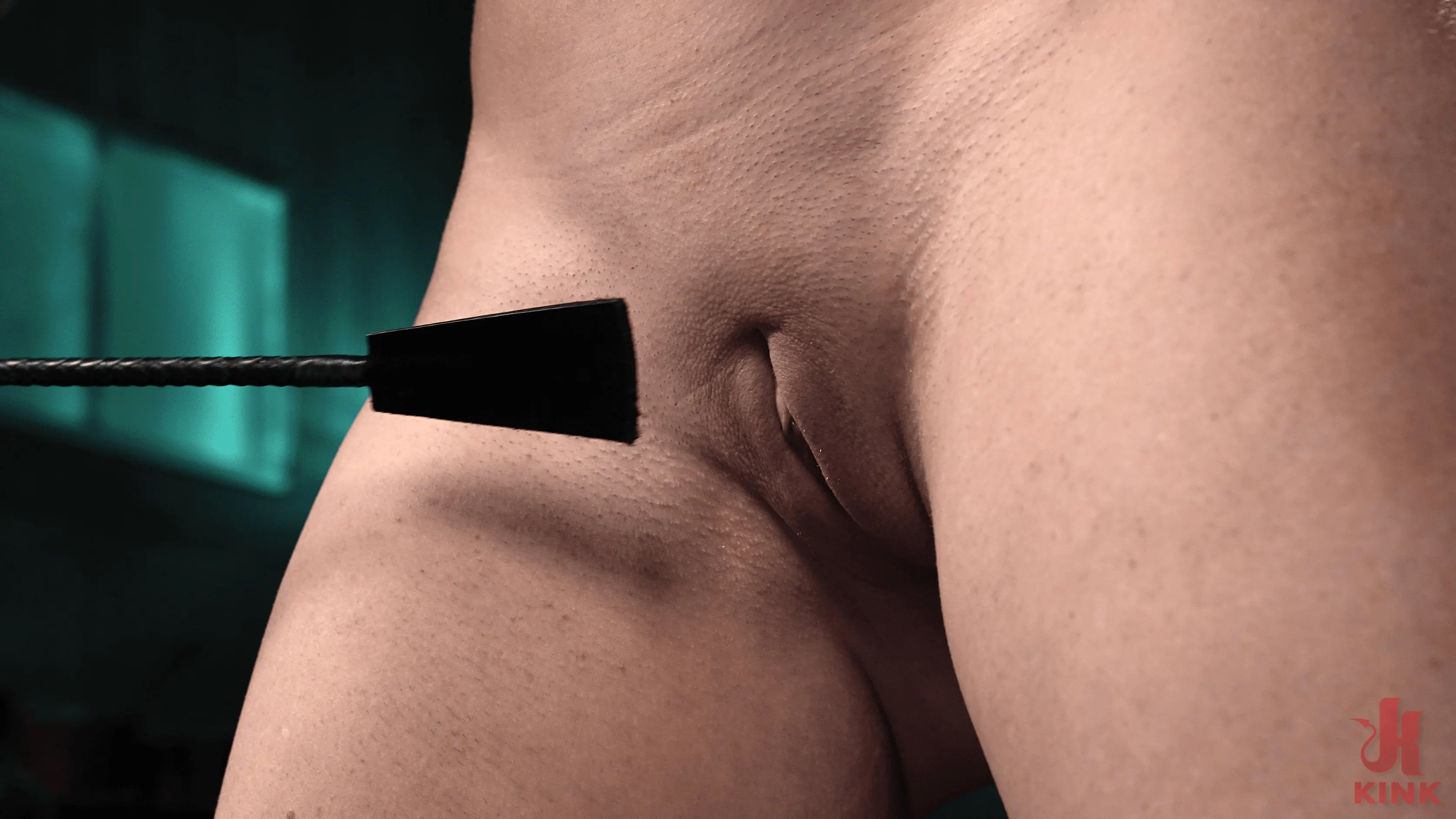 Kink '極悪非道な装置' 主演 Sophia Locke (写真 13)