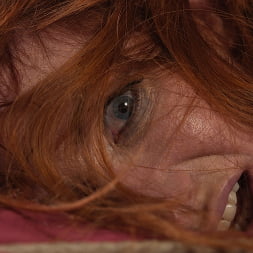 Sophia Locke in 'Kink' Mr. Sicko and the Little Lady (Thumbnail 14)
