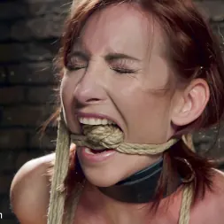 Sophia Locke en 'Kink' Lecciones de dolor y placer de Sophia Locke, segundo día (Miniatura 10)