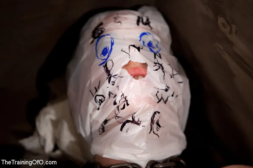 Kink 'aka dolly meats Day 1-Buried Alive, Humiliated, and Tormented' starring Sophie Monroe (Photo 12)