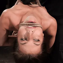 Spencer Bradley に 'Kink' スペンサーブラッドリー:ロープスラット (サムネイル 24)