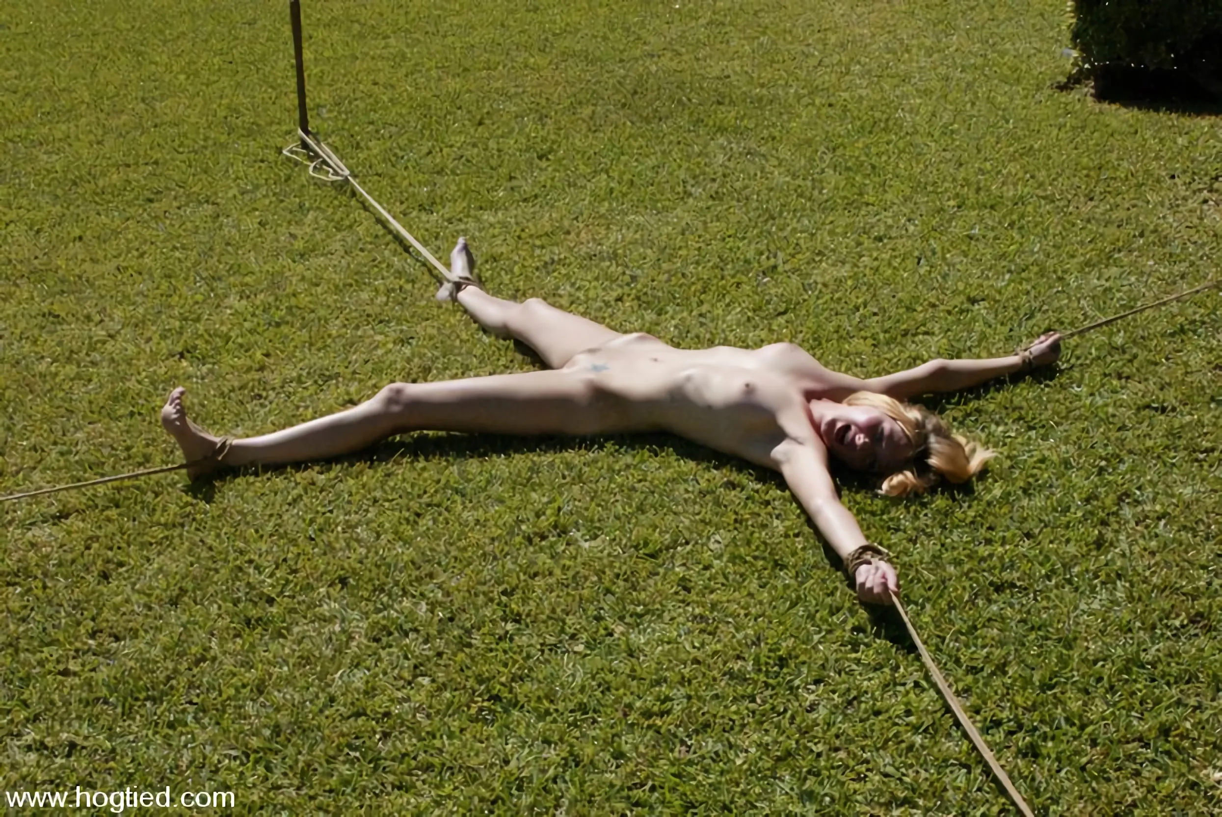 Star en 'Cabo: pesadilla de fin de semana parte 2' from 'Kink' (foto 4) Kink 'Cabo: pesadilla de fin de semana parte 2' protagonizando Star (foto 4)