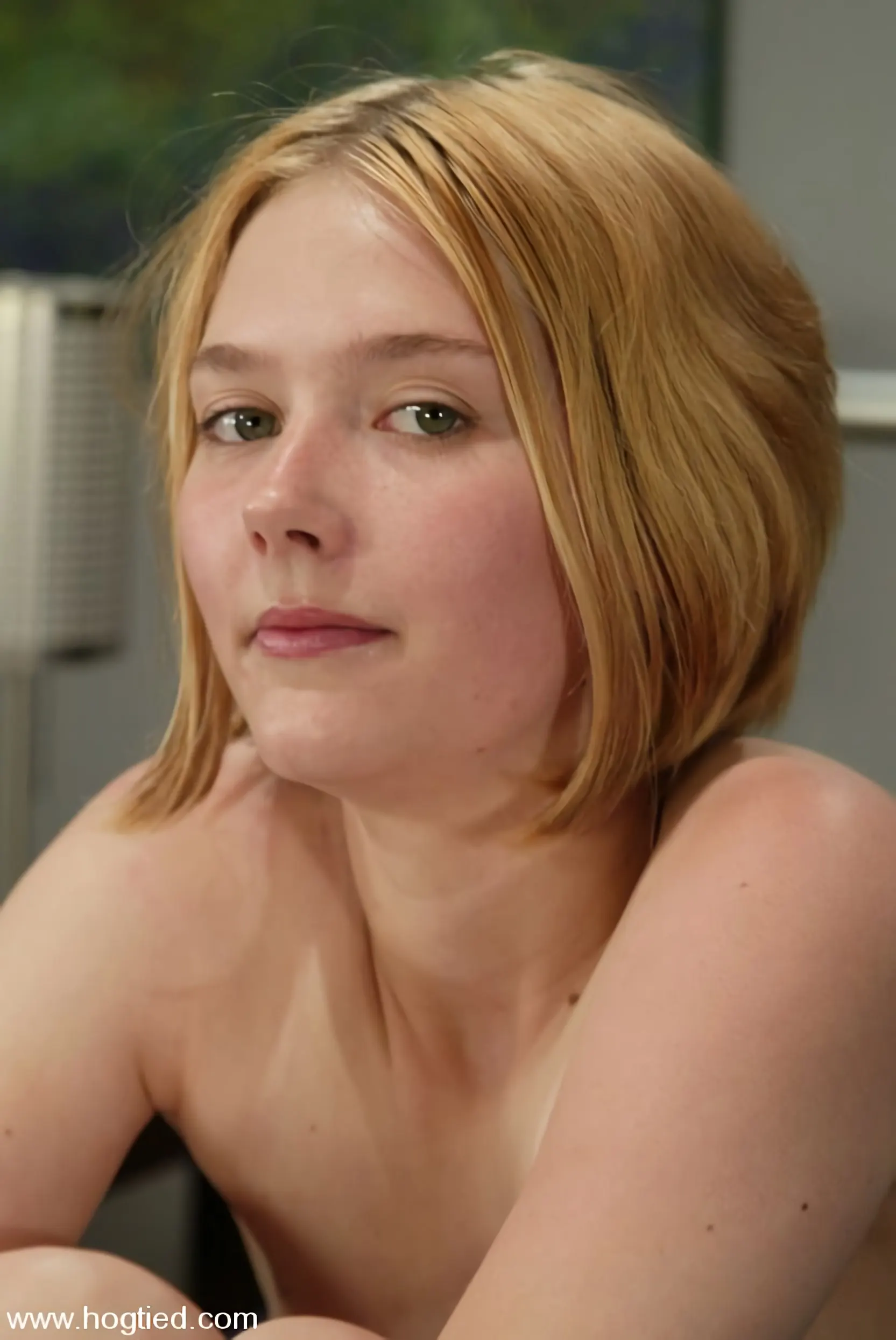 星 に '星' from 'Kink' (写真 1) Kink '星' 主演 星 (写真 1)