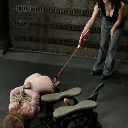 Stardust in 'Kink' Stardust (Thumbnail 3)