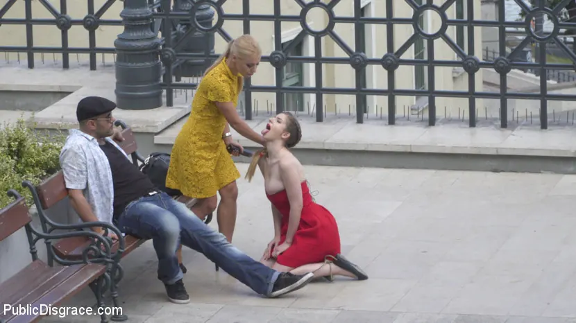 Kink 'Loves Getting Fucked In Public' starring Stella Cox (Photo 3)