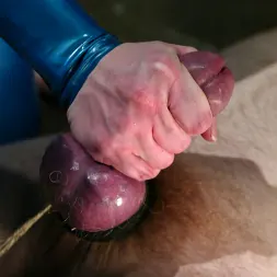 Sterling Ward に and Claire Adams (写真 2) Sterling Ward に 'Kink' and Claire Adams (サムネイル 2)