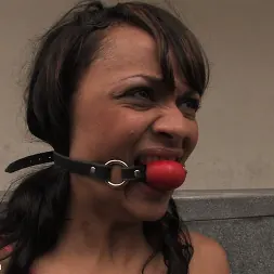 Dunia Montenegro in 'Kink' BACK TO THE STREETS (Thumbnail 1)