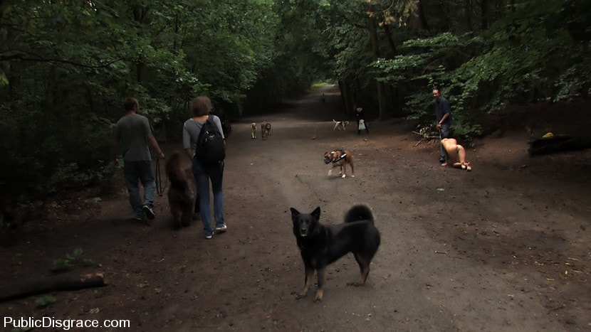 Kink 'The Dog Walk' starring Aliz (Photo 11)