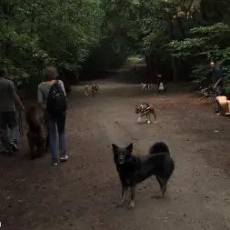 Aliz in 'Kink' The Dog Walk (Thumbnail 11)