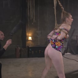 Stirling Cooper in 'Kink' Obedient Pain Slut SCREAMS for Anal Punishment (Thumbnail 4)