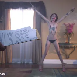 Stirling Cooper に 'Kink' 便利な妻 (サムネイル 2)