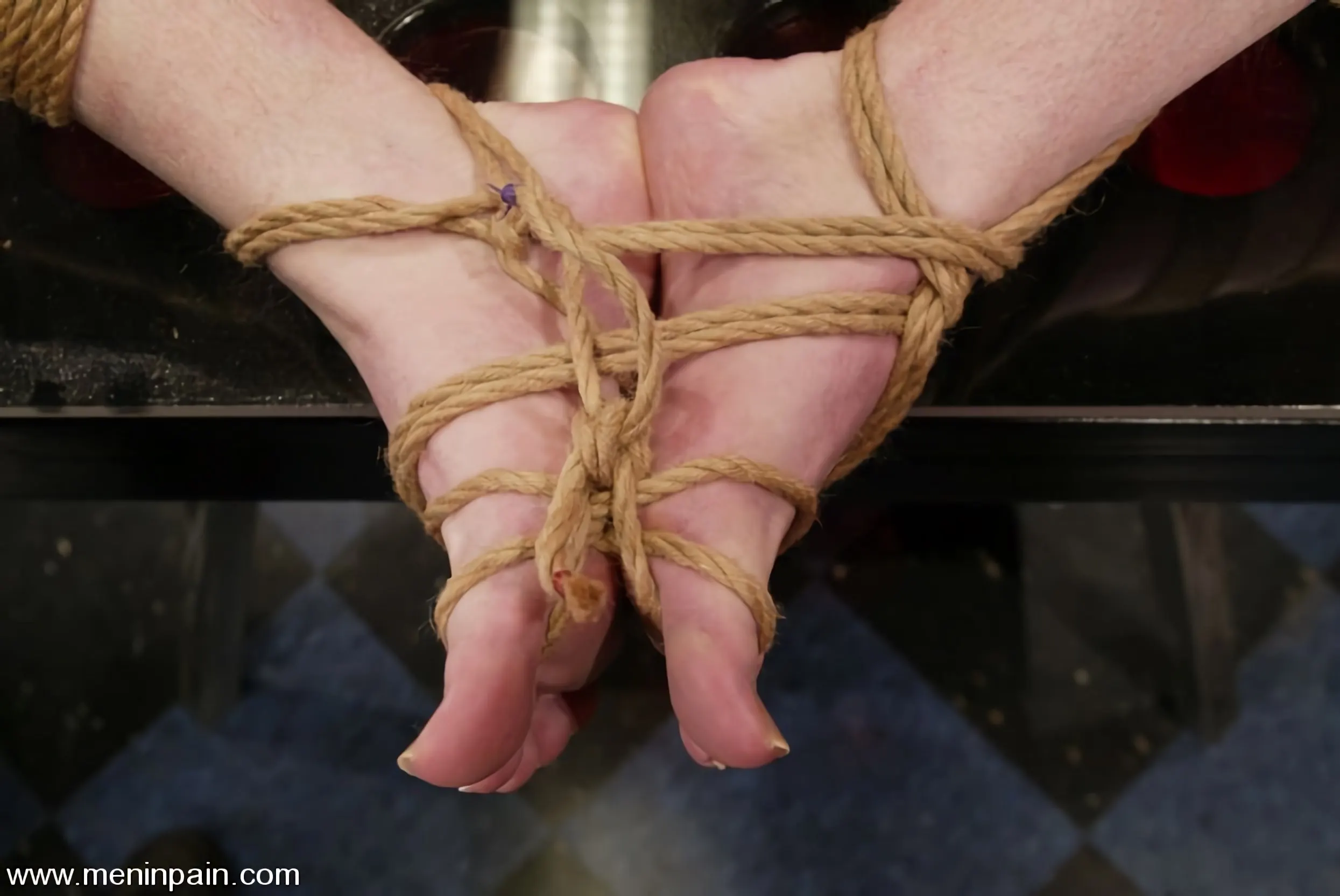 Kink 'and Kym Wilde' starring subgriff (Photo 3)