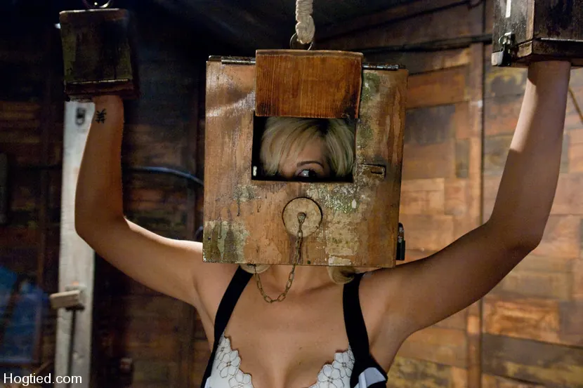 Tara Lynn Foxx に 'タクリンリンズフォックス' from 'Kink' (写真 11) Kink 'タクリンリンズフォックス' 主演 Tara Lynn Foxx (写真 11)