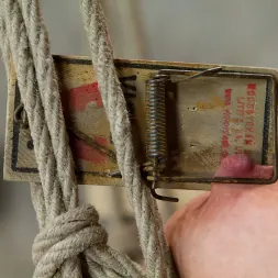 Tara Lynn Foxx に 'Kink' is INSATIABLE (サムネイル 8)