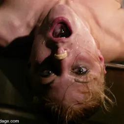 Tawni Ryden に 'Kink' Back and Better Than Ever! (サムネイル 15)